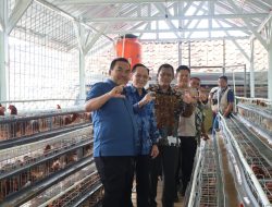 Bangun Hilirisasi SPPG, Bupati Arief Resmikan Kandang Petelur Merah Putih di Kebonrejo