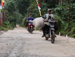 Manfaat Jalan TMMD Mulai Di Nikmati Warga Desa Gedong