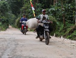 Jalan Bagus Berkat TMMD, Warga Gedong Langsung merasakan