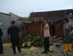 Hujan Angin Terjang Desa Palon Jepon, Pohon Tumbang Timpa Rumah Warga dan Serambi Masjid Roboh