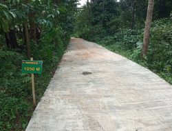 Sesuai Prediksi, Pengecoran Jalan TMMD Gedong  Sudah Rampung 100 Persen