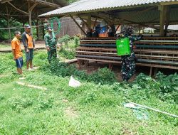 Penyemprotan Kandang Ayam Oleh Satgas TMMD, Masih Berlanjut
