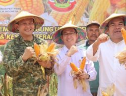 Blora Diproyeksikan Jadi Tonggak Pengembangan Industri Bioetanol Berbasis Jagung di Indonesia