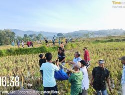 Petani di Gayam Bogorejo Ditemukan Meninggal Dunia di Sawah, Diduga Akibat Vertigo